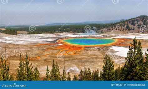 Grand Prismatic Pool Yellowstone National Park Stock Image Image Of