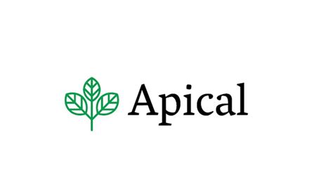 Apical