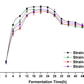 Growth Curve Of Pseudomonas Putida Strains In Fermentation Media B4