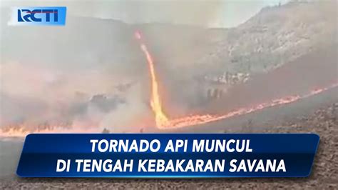 Tornado Api Muncul Di Tengah Kebakaran Savana Gunung Bromo SIS 11 09