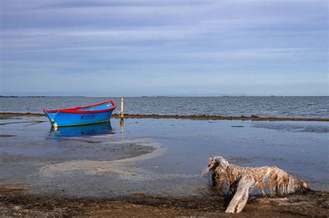 Partez Pour Des Galops Sur Les Plages De Camargue Cheval Daventure