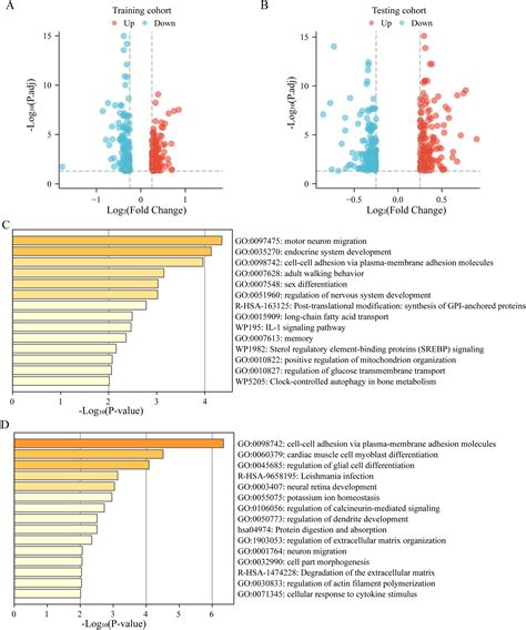 A Novel Cuproptosis Related Gene Signature For Overall Survival