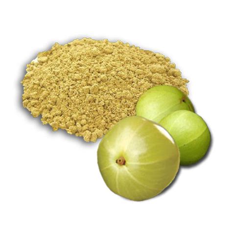 Natural Amla Powder Pack Size 10 Kg At Rs 200 Kilogram In New Delhi