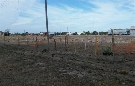 Necochea Figura Con Cuatro Tomas De Tierras En El Mapa De Usurpaciones De La Provincia Tsn