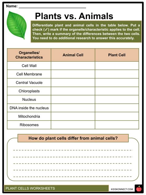 Plant Cell And Animal Cell Liveworksheet