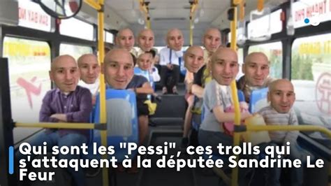 Qui sont les Pessi ces trolls qui s attaquent à la députée Sandrine