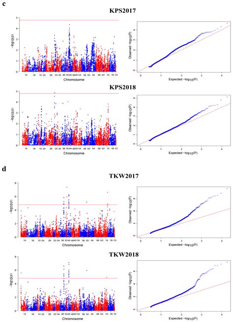 Manhattan And Quantile Quantile Q Q Plots For The Kernel Traits Download Scientific Diagram