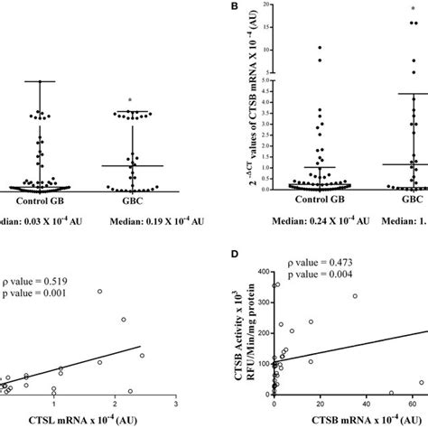 Expression of cysteine cathepsin mRNA in GBC. Total cellular RNA ...