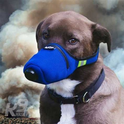 K9 Masks® Premium Air Pollution Filter Mask For Dogs K9 Mask® By