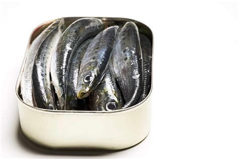 What Are Sardines And How Are They Used