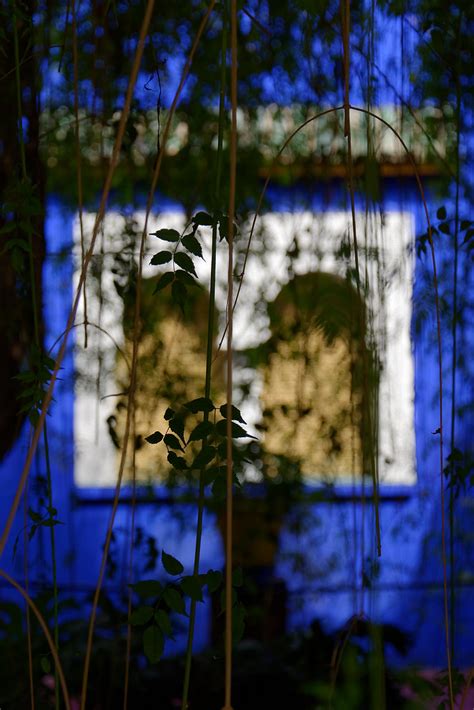 Jardin De Majorelle Marrakech MAROC 09 2014 Millon Sophie Flickr