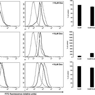 Wound Healing Assay In Gl Cells Grown In Monocultures Or Co Cultures