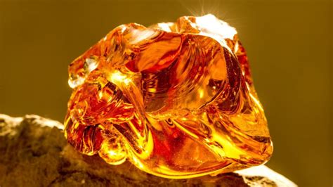 Amber Mineral Gemstone Properties Formation Occurrence