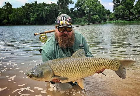 How Big Do Grass Carp Get In A Pond Size Secrets Unveiled