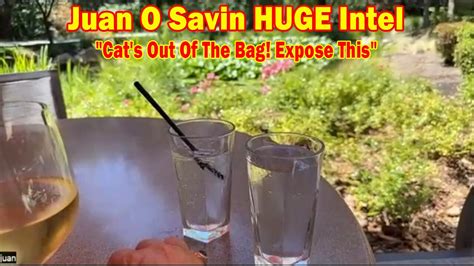 Juan O Savin Huge Intel Cat S Out Of The Bag Expose This