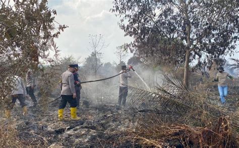 311 Hektare Hutan Dan Lahan Terbakar Di Inhu Riau Okezone News