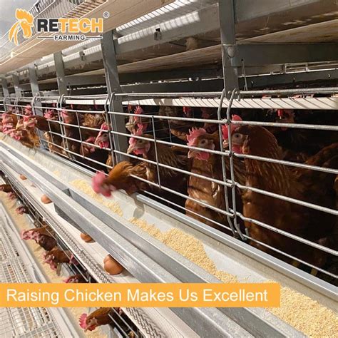 Automatic H Type Layer Battery Chicken Cage In Kenya China Chicken