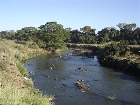 Brasil e suas biodiversidades Rio Meia Ponte em Goiânia