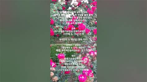 달실은마차다해실은♥경축♥향토가요방송한국가요대전35번복지만리3채창락채창락트롯쇼츠영상향토가요방송한국가요대전통합의학방송