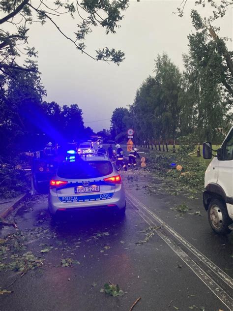 Krajobraz Po Nawa Nicach W Regionie Po Amane Drzewa Uszkodzone Dachy