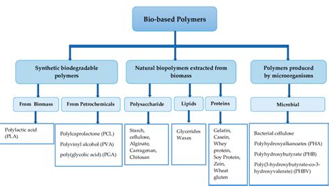 Classification Of Biodegradable Polymers Based On Their Source