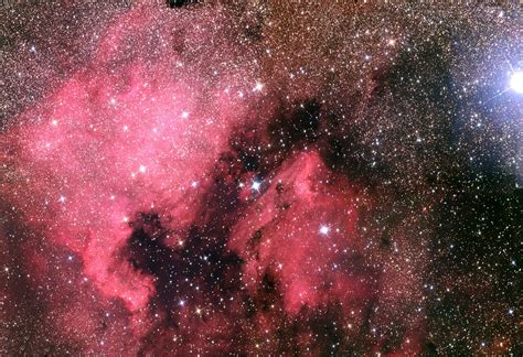 NGC 7000 The North America Nebula And The Pelican Nebula NOIRLab