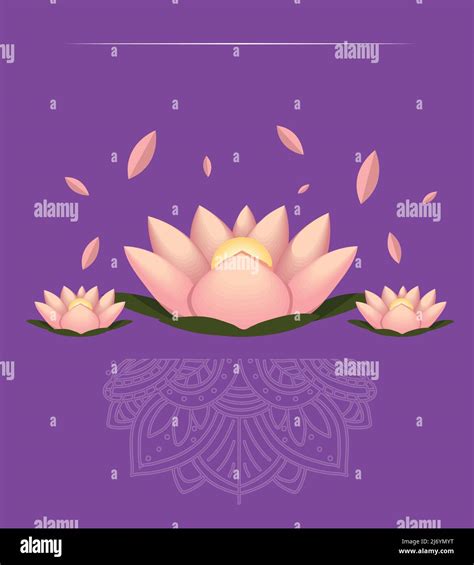 lotus flower and mandala Stock Vector Image & Art - Alamy