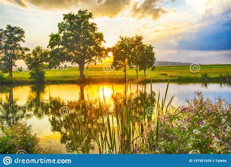 Sunset Over Pond Seen Through The Trees Stock Image Image Of Mirror