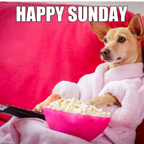 15 Funny Sunday Memes To Make You Laugh On Sundae