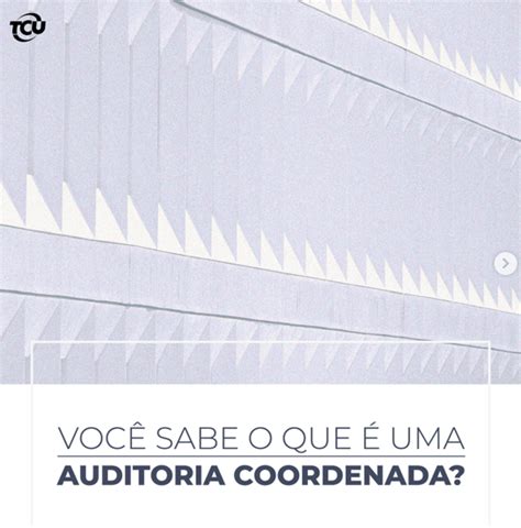 Carlos Rafael Ferreira TCU Você sabe o que é uma auditoria coordenada