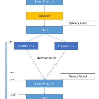 Flowchart FMD Flow Mediated Dilation Test Capillary Blood Finger