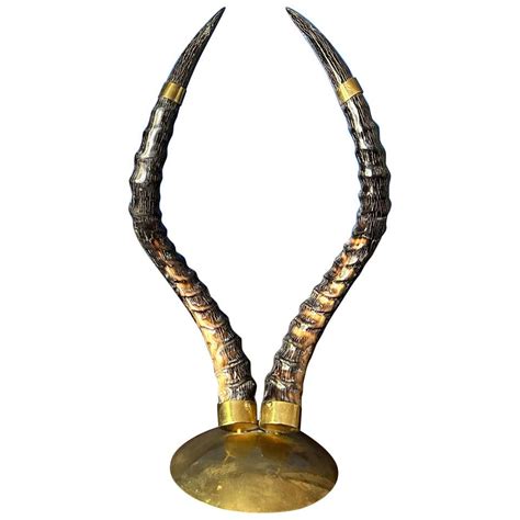 Large Suite Of Three Kudu Antelope Museum Mounted Horns And Skulls At