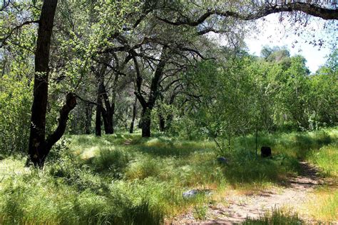 Luelf Pond County Preserve Hidden San Diego