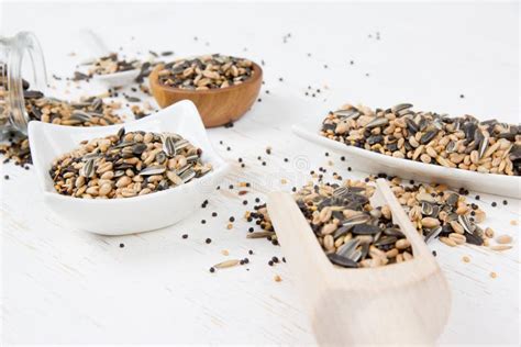 Seed Mix Heaps Stock Photo Image Of Cuisine Component 69770660