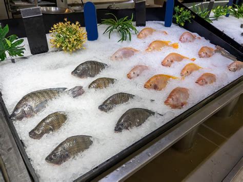 Mariscos En Hielo En El Mercado De Pescado Foto De Archivo Imagen De