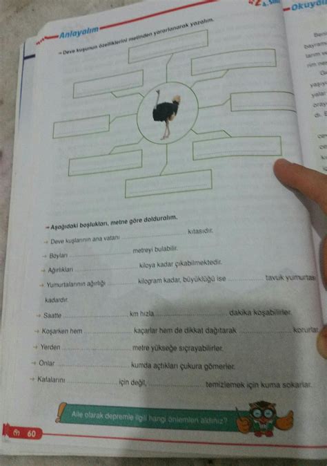 okuyun cvaplayn rica ediyorum boş yorum yapmayın sorular önce metini ok