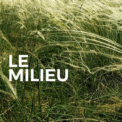 Le Milieu - LE MILIEU