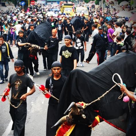 Kesenian 1000 Banteng Memadati Kota Wisata Batu Dalam Acara Banteng