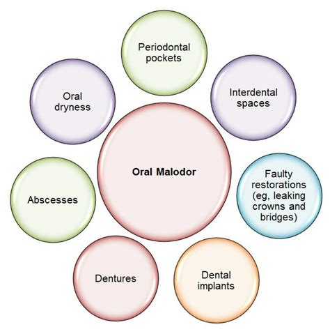 Potential factors for malodour. | Download Scientific Diagram