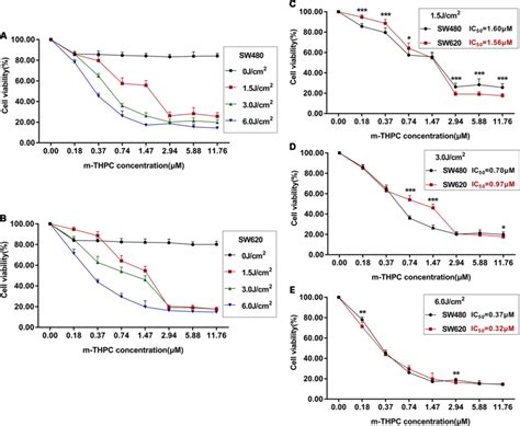 Cell Viability Of Sw And Sw Determined By Mtt Assay After