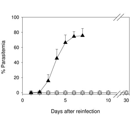 Parasitemia In Reinfected Icr Mice Mice Surviving Primary Infection