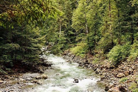 Der Muschel folgen Jakobswege in Deutschland Österreich und der