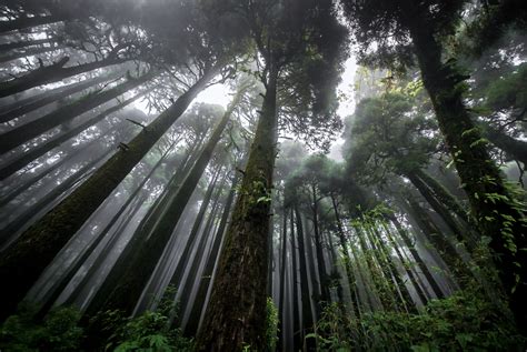 Monsoon Photography Tips: Capturing the Beauty of the Rainy Season ...