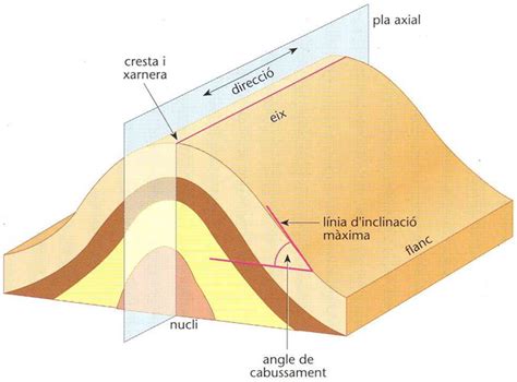 Anticlinal Enciclopedia Cat