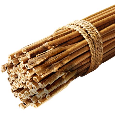 GroundMaster Garden Bamboo Canes Quality Strong Sturdy Plant Support ...