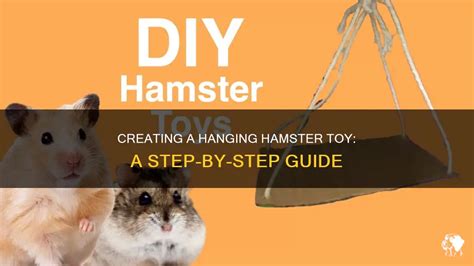 Creating A Hanging Hamster Toy A Step By Step Guide Petshun