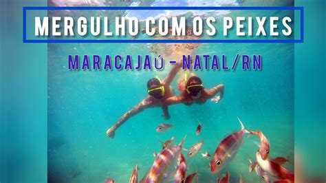 MERGULHO OS PEIXES EM MARACAJAÚ NATAL RN QUADRICICLO MELHOR