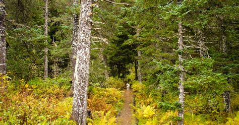 Rocky Ridge Trail | ALASKA.ORG