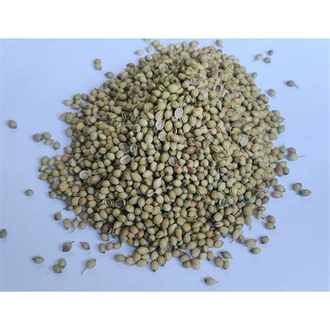 Dried Brown SRK Premium Whole Coriander Seed For In Foods At Rs 100 Kg