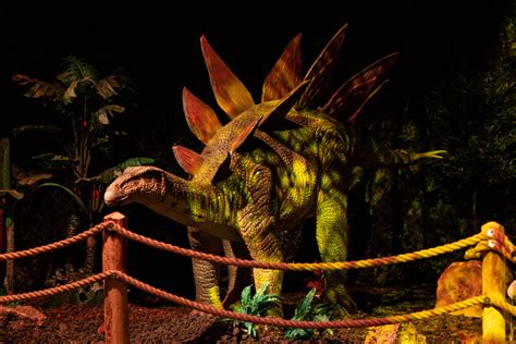 ‘Dinos Alive’ exhibit comes to DC - WTOP News